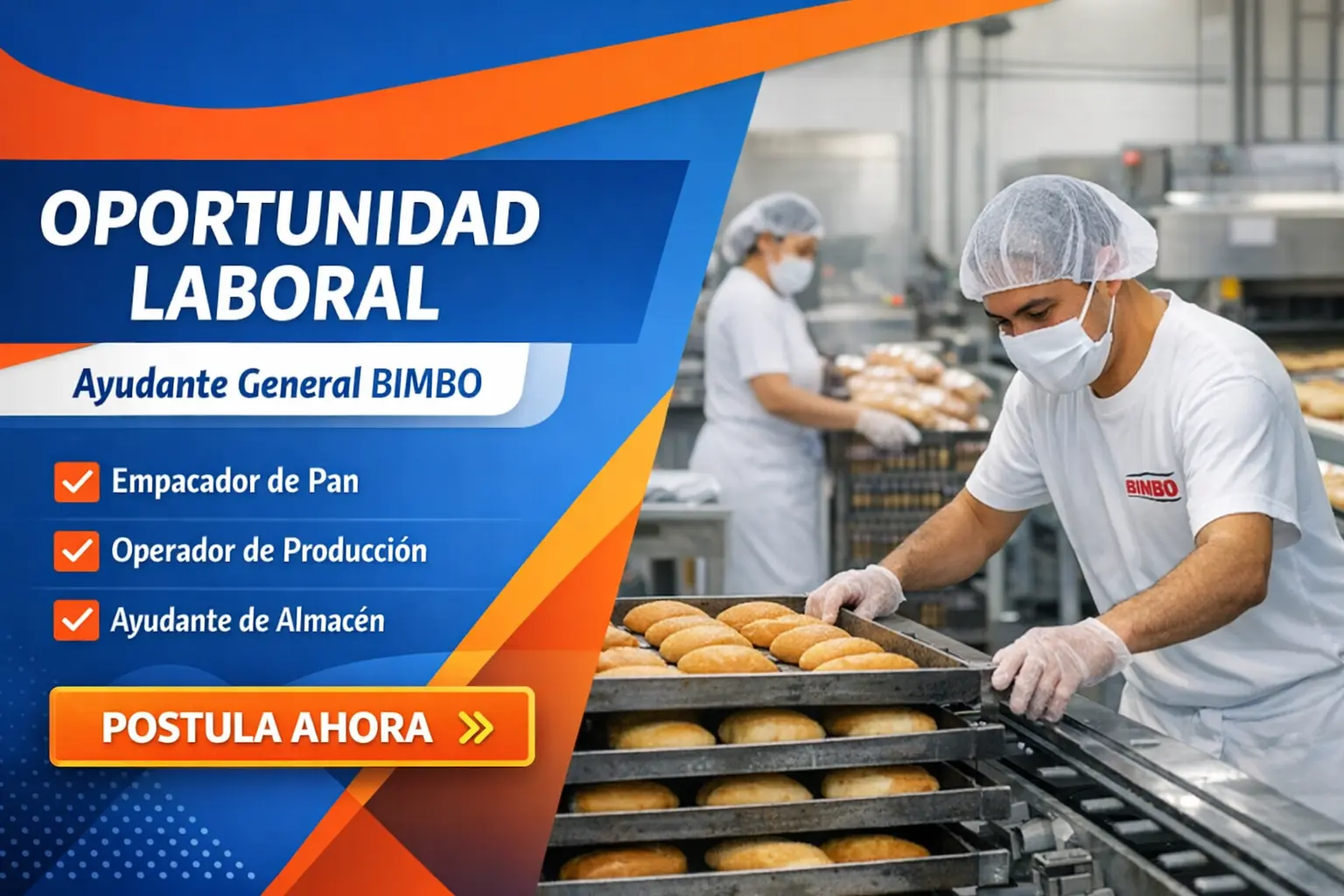 En este momento estás viendo Ayudante General BIMBO